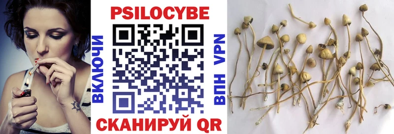Галлюциногенные грибы Psilocybine cubensis Хотьково